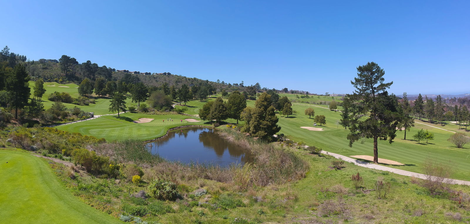 Simola Golf and Country Estate course review: serene South African layout has bags of character